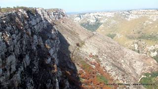 stello marchesa di Cassibile-10-02-2015 19-55-27